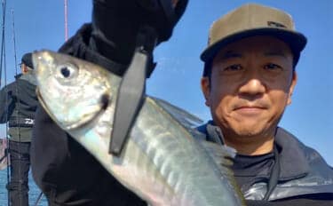 53cmの超大型アジお目見え!【大阪】バチコンアジングで良型アジが続々登場