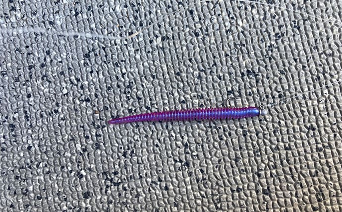 53cmの超大型アジお目見え！【大阪】バチコンアジングで良型アジが続々登場