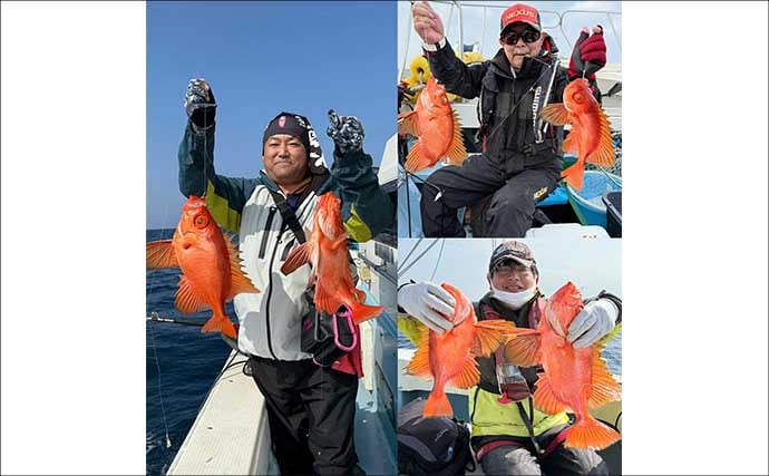 【沖釣り釣果速報】落とし込み五目で衝撃サイズ！136cm18.5kgヒラマサ登場（福岡）