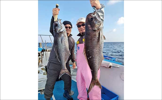 【沖釣り釣果速報】落とし込み五目で衝撃サイズ！136cm18.5kgヒラマサ登場（福岡）