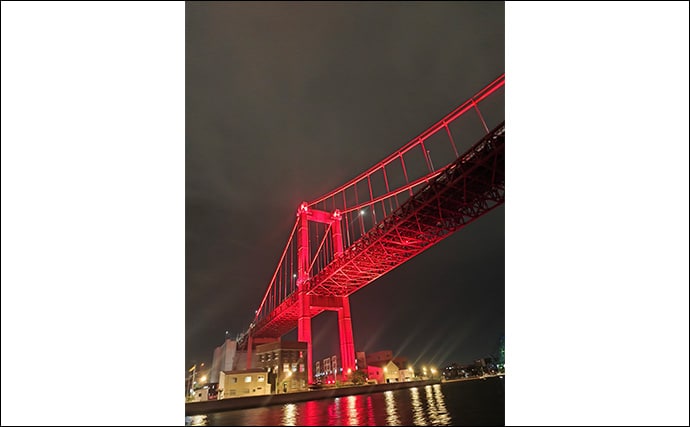 ボートアジングで27cm頭に良型アジ入れ食い!【北九州】軽量ジグヘッドと小型ワームが的中