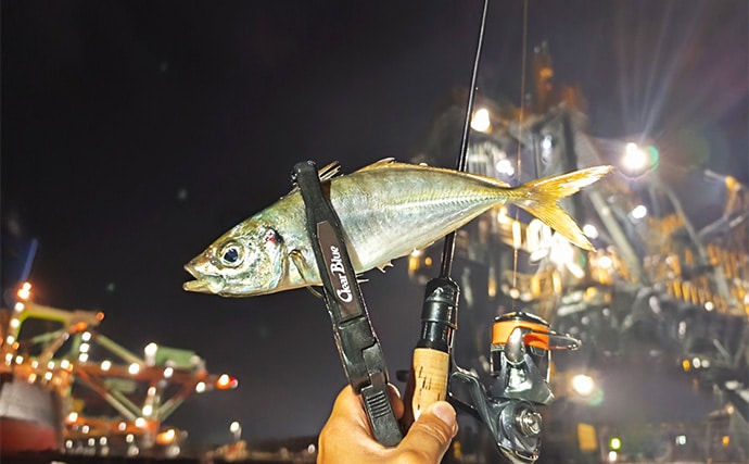 ボートアジングで27cm頭に良型アジ入れ食い!【北九州】軽量ジグヘッドと小型ワームが的中