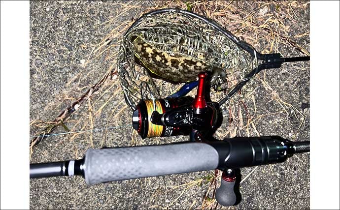 漁港エギング釣行でコウイカ5連発！「ボトムウォーク」アクションが的中