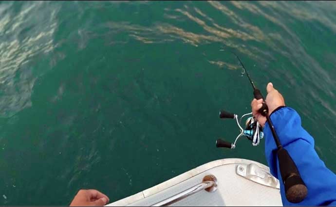 ティップランエギングでアオリイカ20杯と爆釣【新潟・琉神丸】ロングステイが決め手