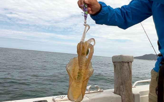 ティップランエギングでアオリイカ20杯と爆釣【新潟・琉神丸】ロングステイが決め手