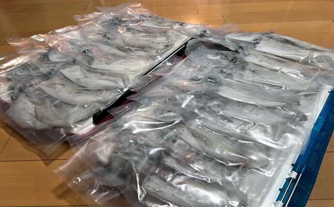ティップランエギングでアオリイカ20杯と爆釣【新潟・琉神丸】ロングステイが決め手
