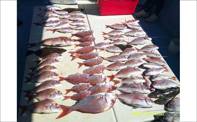 【沖釣り釣果速報】島原沖のマダイ船で最大3kgを筆頭に連発！ヒラメも混じり船中大盛況（大分・熊本）