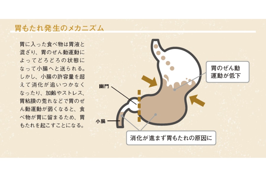 胃もたれのメカニズム『眠れなくなるほど面白い 図解 脂質の話』