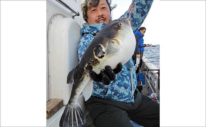 【沖釣り釣果速報】ガツンと本命ヒット！　鳥羽沖のカットウ釣りで良型トラフグを好捕（三重）