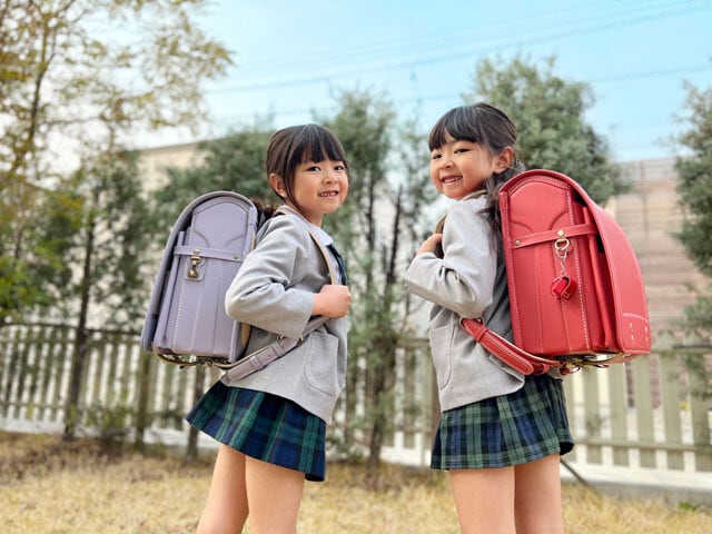 一卵性双生児のIQに関する調査によると、年齢を経るほど似通ってくることがわかっている