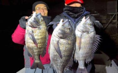 【沖のルアー釣果速報】チヌジギで良型クロダイ連発！ホウボウも入れ食い状態（愛知）