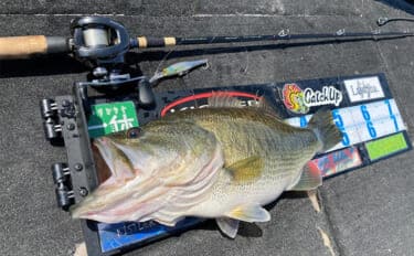 「ロッド選びの肝は弾性にあり？」 バス釣りにおける高弾性／低弾性ロッドの違いと使い分け方