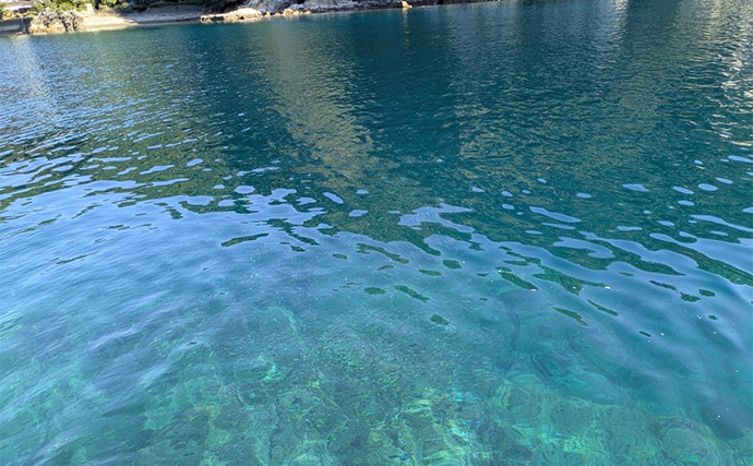 地磯のデイエギングで良型アオリイカをキャッチ【和歌山・南紀】深場狙いが奏功