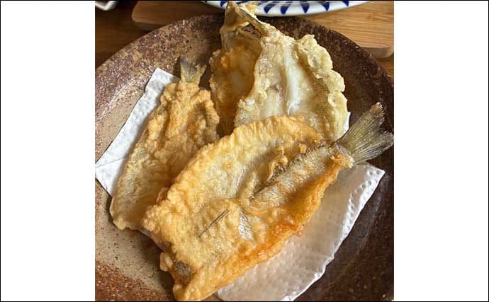 維和島の投げ釣りで25cm級デカキスをキャッチ【熊本】根掛かり覚悟のズル引き誘いが奏功