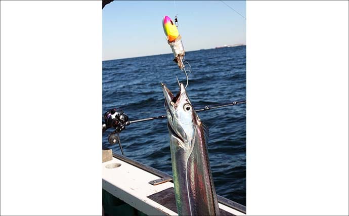 東京湾のテンヤタチウオ釣りで良型交じり4尾キャッチ【鴨下丸】「止め」で食わせた激渋攻略