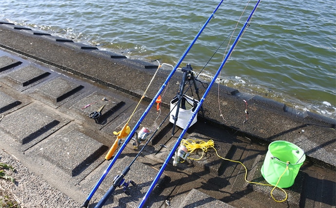 ファミリーフィッシングで手軽に大物釣りたいなら【アメリカナマズ釣りで決まり!】