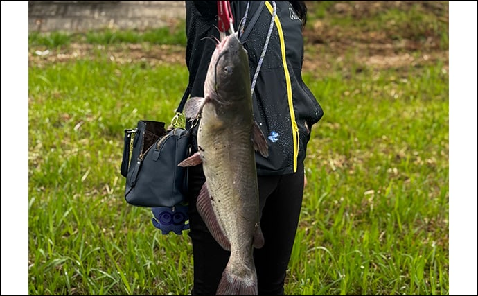ファミリーフィッシングで手軽に大物釣りたいなら【アメリカナマズ釣りで決まり!】