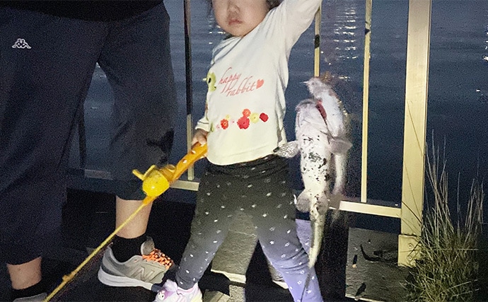 ファミリーフィッシングで手軽に大物釣りたいなら【アメリカナマズ釣りで決まり!】