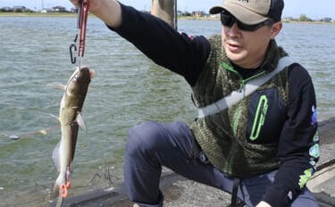 ファミリーフィッシングで手軽に大物釣りたいなら【アメリカナマズ釣りで決まり！】