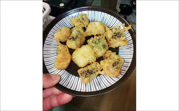 冬が旬のご当地ターゲット『イガミ（ブダイ）』釣りに挑戦　釣り方微調整で本命に迫る