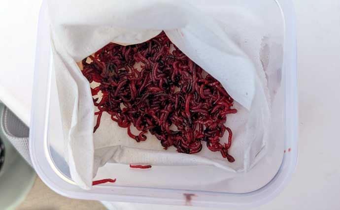 初心者でも楽しめるワカサギ釣りの基本　魅力・道具・釣り方を徹底解説