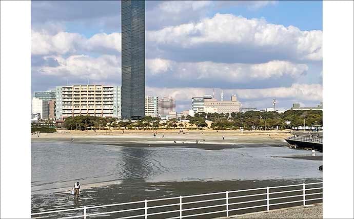 『ポートパーク』での潮干狩りでアサリ3.8kgをゲット！【千葉】ハマグリも交じる