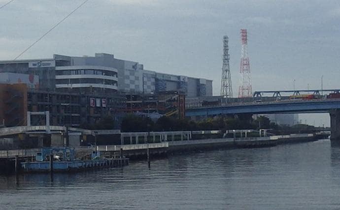 海老川河口のハゼ釣りでマハゼ16匹【千葉】釣れるポイントは限定的か?