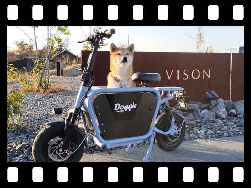 【マイクロモビリティ研究所】愛犬と乗れる原付一種「E-Carry Bike Doggie」試乗インプレ（動画あり） メイン