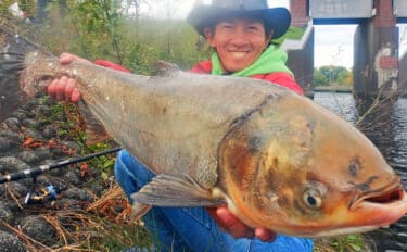 「メーター超え獲った!」荒川で101cmハクレンをキャッチ【埼玉】豆ボラ地獄を攻略
