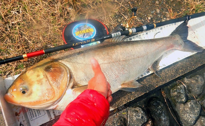「メーター超え獲った！」荒川で101cmハクレンをキャッチ【埼玉】豆ボラ地獄を攻略