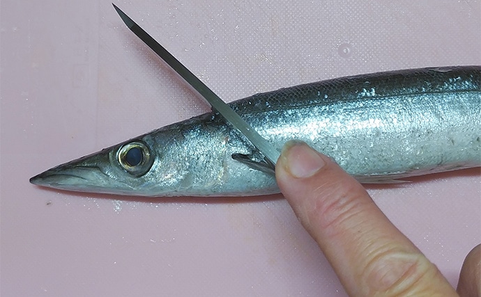 釣魚で作る「酒の肴」レシピ：カマスの濃厚焼き　濃い味付けが合う！