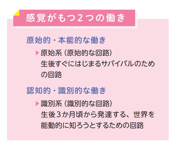 感覚がもつ2つの働き【発達が気になる子の感覚統合遊び】