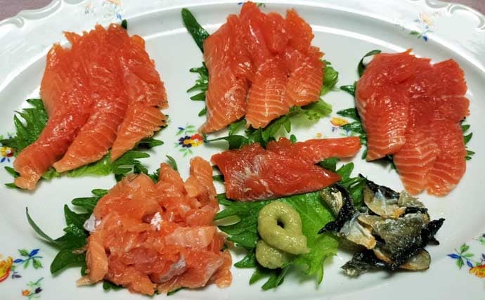 琵琶湖レイクトローリングでビワマス10匹好捕！【滋賀】50cm迫る良型連発