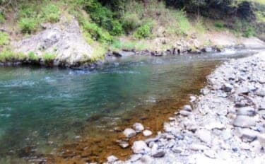 奥多摩川の渓流釣り解禁! 本支流の放流ポイント&狙い場まとめ【東京都】