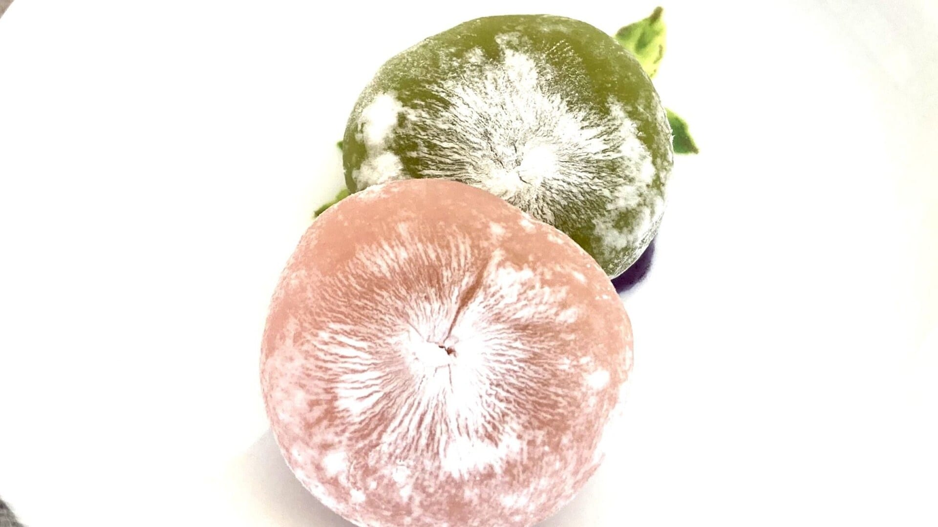 2026年春の新商品「お餅スイーツ」が激!激!!激うまだった【無印の桜シリーズ】他社の類似商品と比較しても圧倒的におすすめ