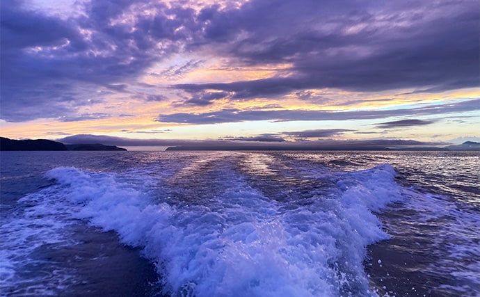 47cmギガアジ堂々浮上!【大阪】DEEPバチコンアジングで大型アジが船中連発