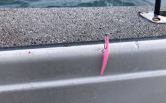 47cmギガアジ堂々浮上!【大阪】DEEPバチコンアジングで大型アジが船中連発