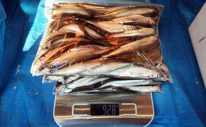 相模湖ボートワカサギ釣りで184尾キャッチ【神奈川】浅場はハス＆深場で本命