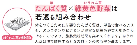 管理栄養士が教える最強の『若返り朝食』＜ほうれん草の卵焼き：最強の組み合わせ②＞【1週間で勝手に-10歳若返る体になるすごい方法】