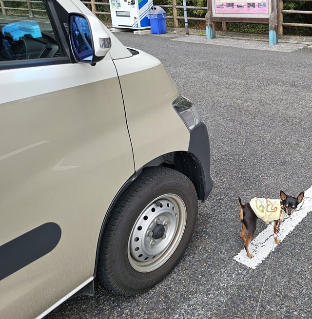 愛犬ちょんぴーと日光東照宮に到着