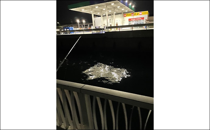 敢えてのイレギュラーアクションがアジに効く？ スレた時間にこそ試してみよう