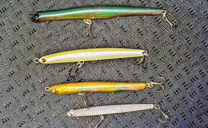 春のリバーシーバスの「混合ベイト」って何？　メインベイトの見極めが攻略のカギ