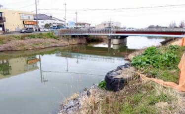 今週のヘラブナ推薦釣り場【茨城県・花室川】