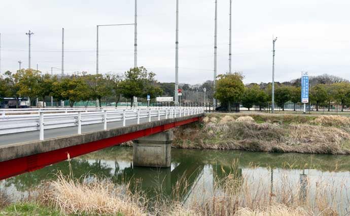 今週のヘラブナ推薦釣り場【茨城県・花室川】