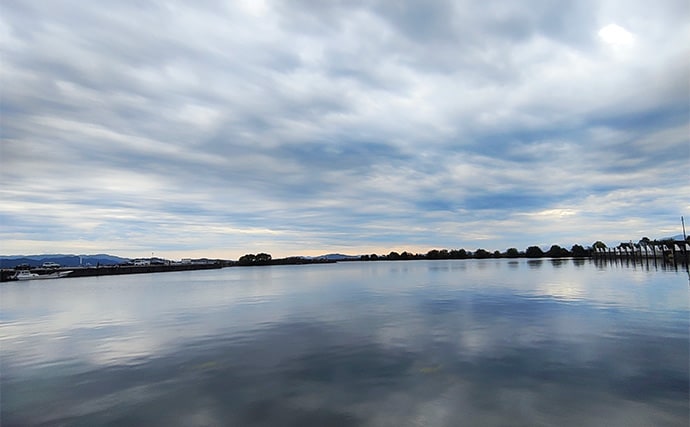 「アジングワームがブラックバスに効果あり？」琵琶湖で小バス連発！長いフォールに好反応