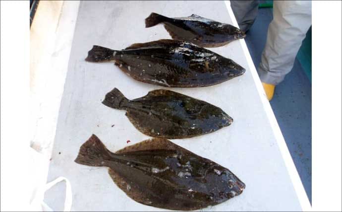 【沖釣り釣果速報】赤青ダブルヒット！金州五目釣りでハチビキ＆キメジ手中（愛知・静岡）