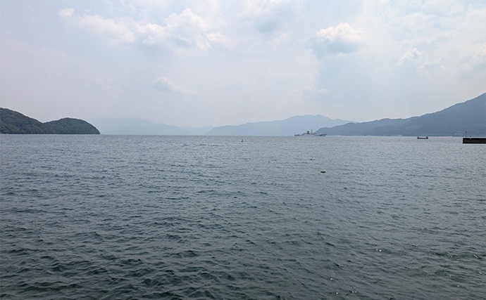 エギングタックルのちょい投げ釣りでシロギス25匹【京都府】潮目狙いで20cm超え良型が連発!