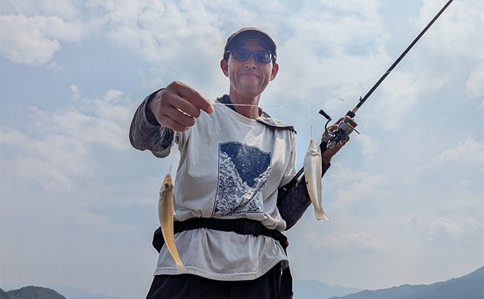 エギングタックルのちょい投げ釣りでシロギス25匹【京都府】潮目狙いで20cm超え良型が連発!