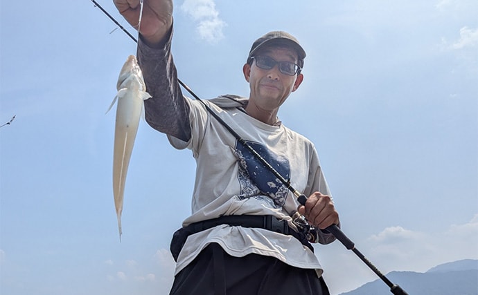 エギングタックルのちょい投げ釣りでシロギス25匹【京都府】潮目狙いで20cm超え良型が連発!