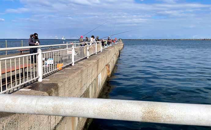 鹿島港魚釣園のサヨリ釣りで50尾キャッチの好釣果Q【茨城】付けエサが釣果の鍵に